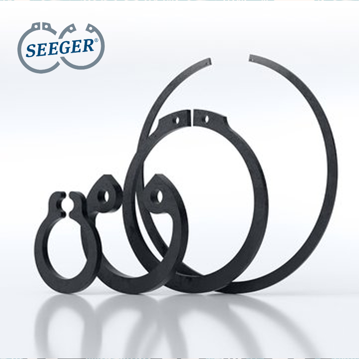 Arbeit für Seeger Orbis